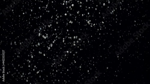 Slow motion air bubbles floating under transparent water bubbles in aquarium. Slowmotion numerous small air bubbles in water rising up to the surface on isolated black background. 