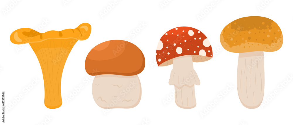 Mushrooms. Vector illustration. Mushrooms. Vector illustration.