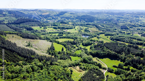 Rolling hills and forest