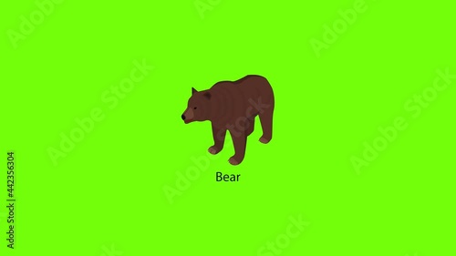 Bear icon animation photo