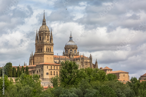 Majestic view at the gothic building at the Salamanca cathedral tower cupola dome and University of Salamanca tower cupola dome, surrounding vegetation