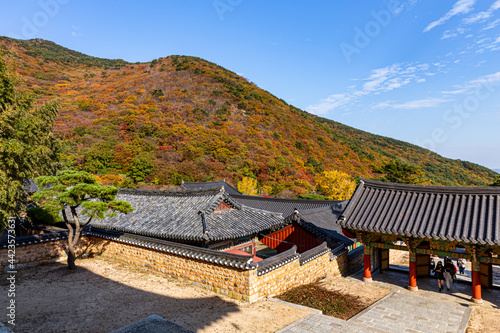 紅葉した山と寺