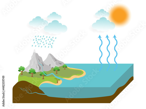 the water cycle illustration infographic. vector esp10