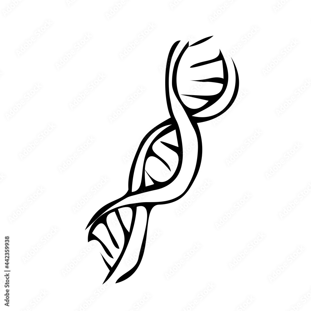 Fototapeta premium chains in dna molecule icon isolated on white background