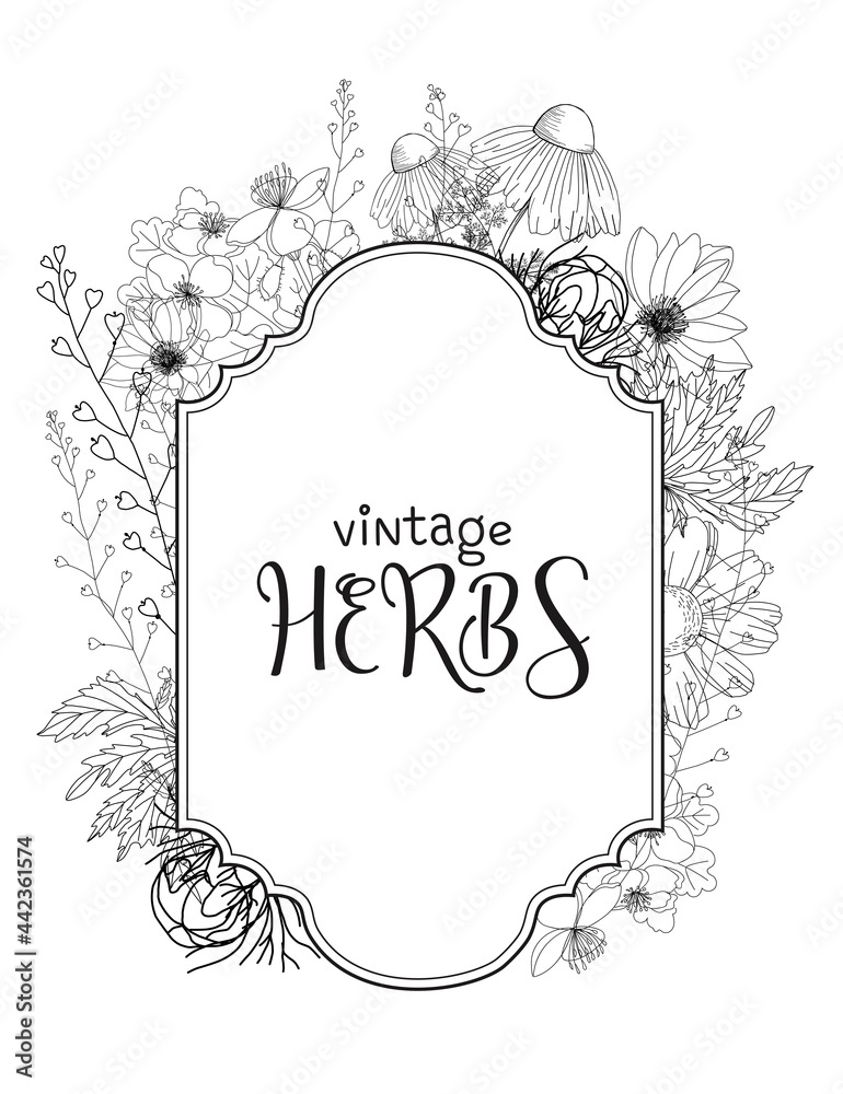 Template card with medicinal herbs. vector template. Wild medicinal plants. Retro flowers. Hand drawing illustration. Engraving style. Botanical illustration. Pharmacy herbs labels. Fresh local organ
