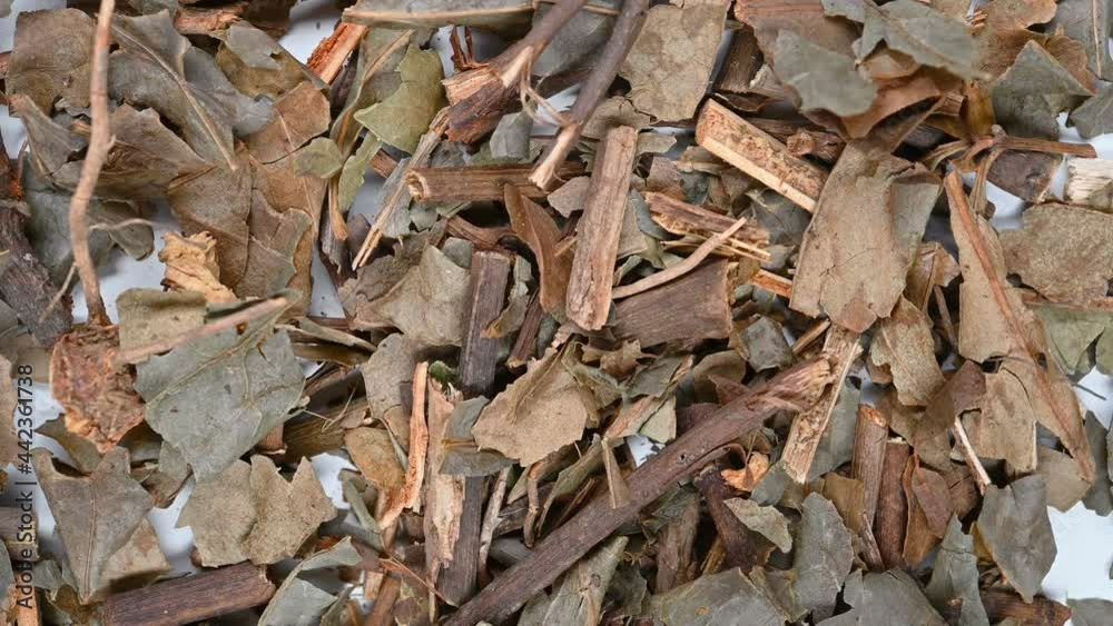 top view herb ZhongJieFeng or Sarcandrae Herba or Glabrous Scrcandra Herb rotating top view herb ZhongJieFeng or Sarcandrae Herba or Glabrous Scrcandra Herb rotating