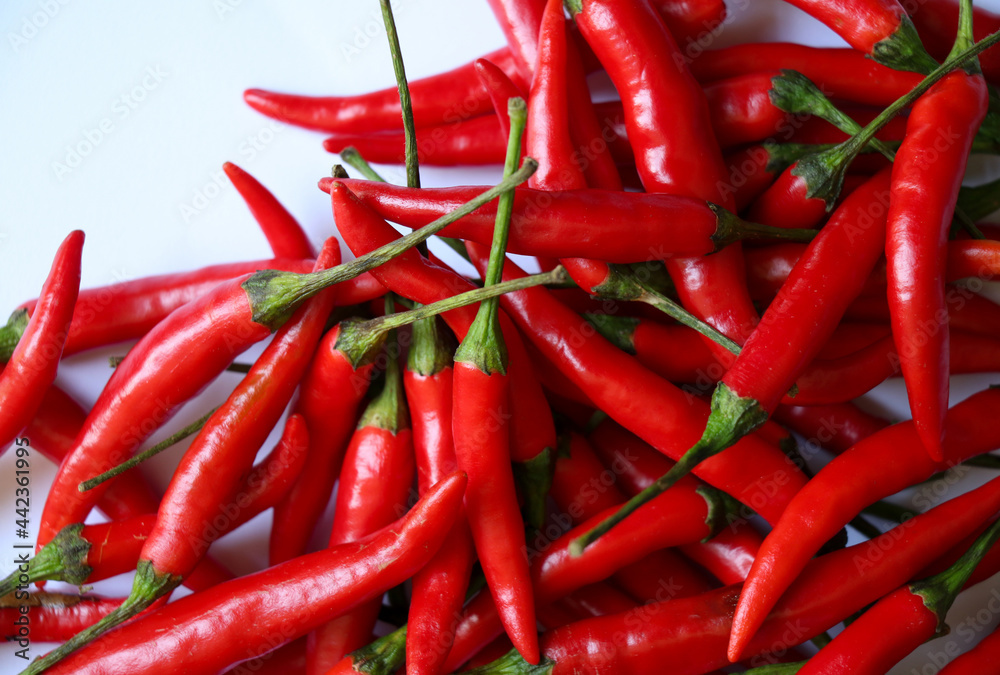 Group of  chili pepper red hot on isolated background