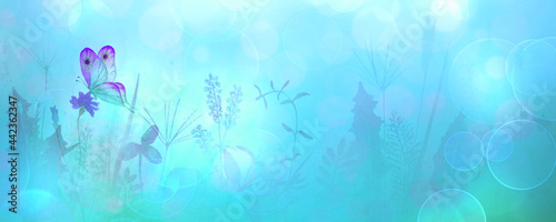Meadow wild flowers, herbs,...