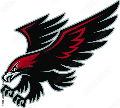 Hawks