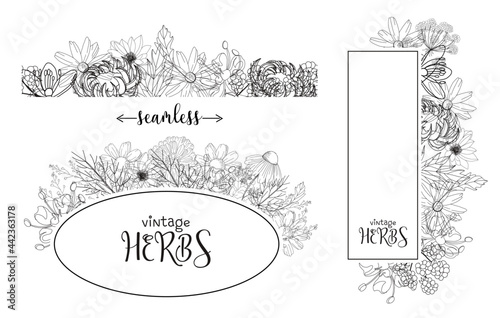 Template card with medicinal herbs. vector template. Wild medicinal plants. Retro flowers. Hand drawing illustration. Engraving style. Botanical illustration. Pharmacy herbs labels. Fresh local organ