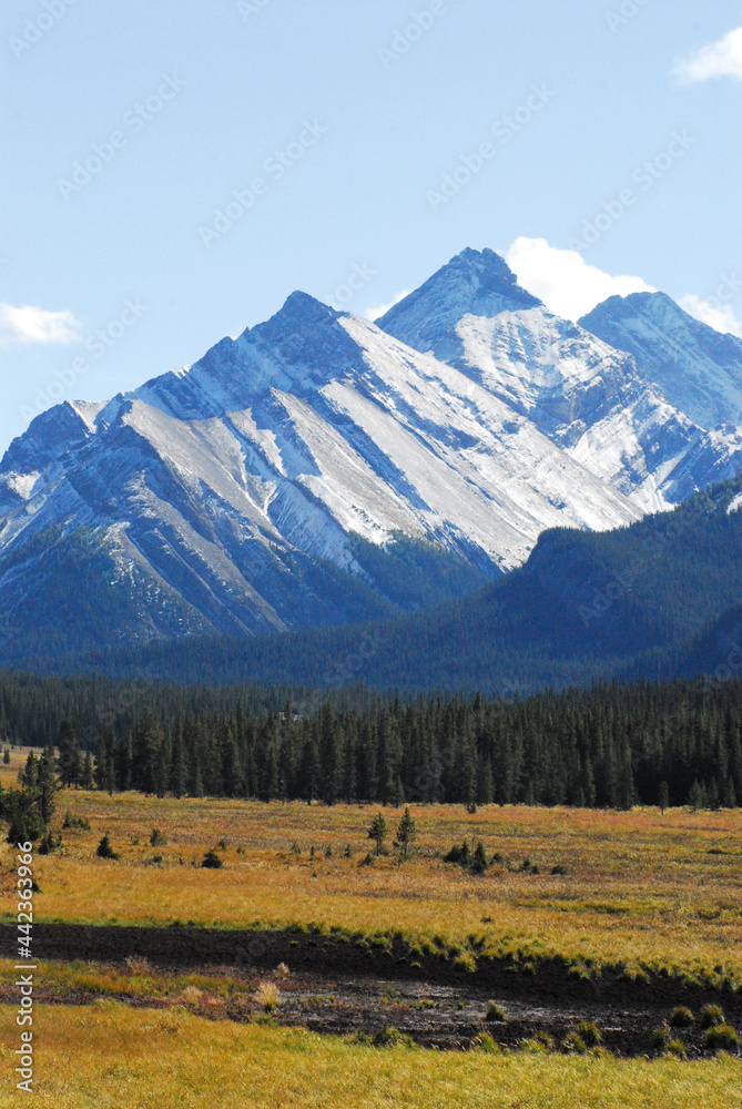 Canada- Vertical View of Rocky Mountain Peaks Across Forest and Wetlands