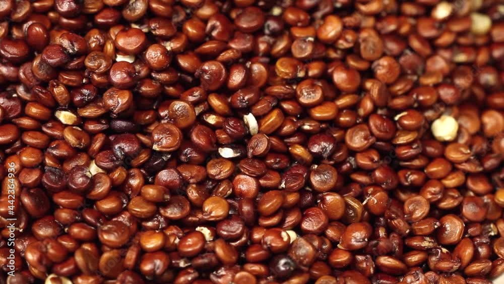 Macro close up of red quinoa seeds falling into a white bowl Macro close up of red quinoa seeds falling into a white bowl