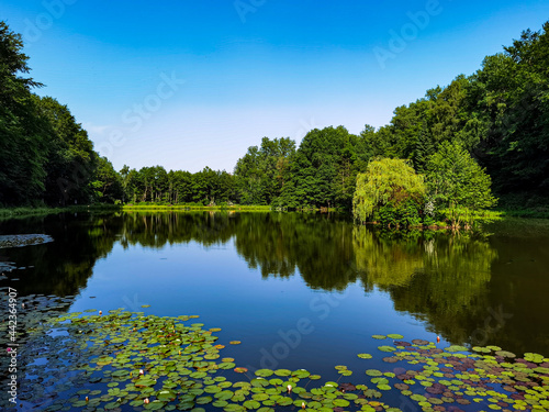 The Waldsee in Niedernhausen is located in the middle of the beautiful Tisza Valley.