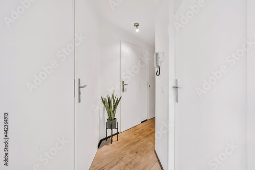 Fototapeta A long empty corridor designed in minimalistic style