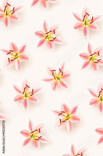 Pattern created from beautiful lovely natural fresh lily blossom flower. Champagne pink color background. Flat lay.