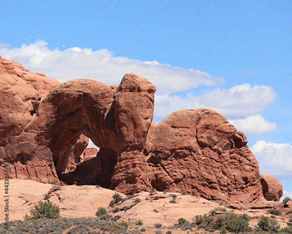 Fototapeta premium Arches in the Arches National Park Near Moab, Utah
