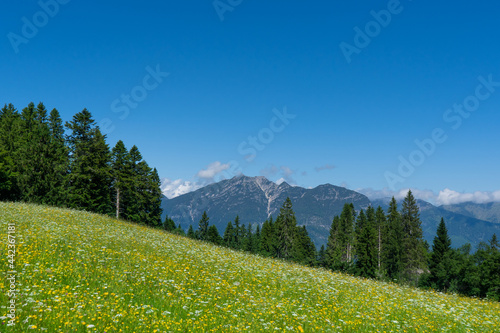 View from the Eckbauer mountain over the Bavarian Alps near Garmisch-Partenkirchen © 13threephotography