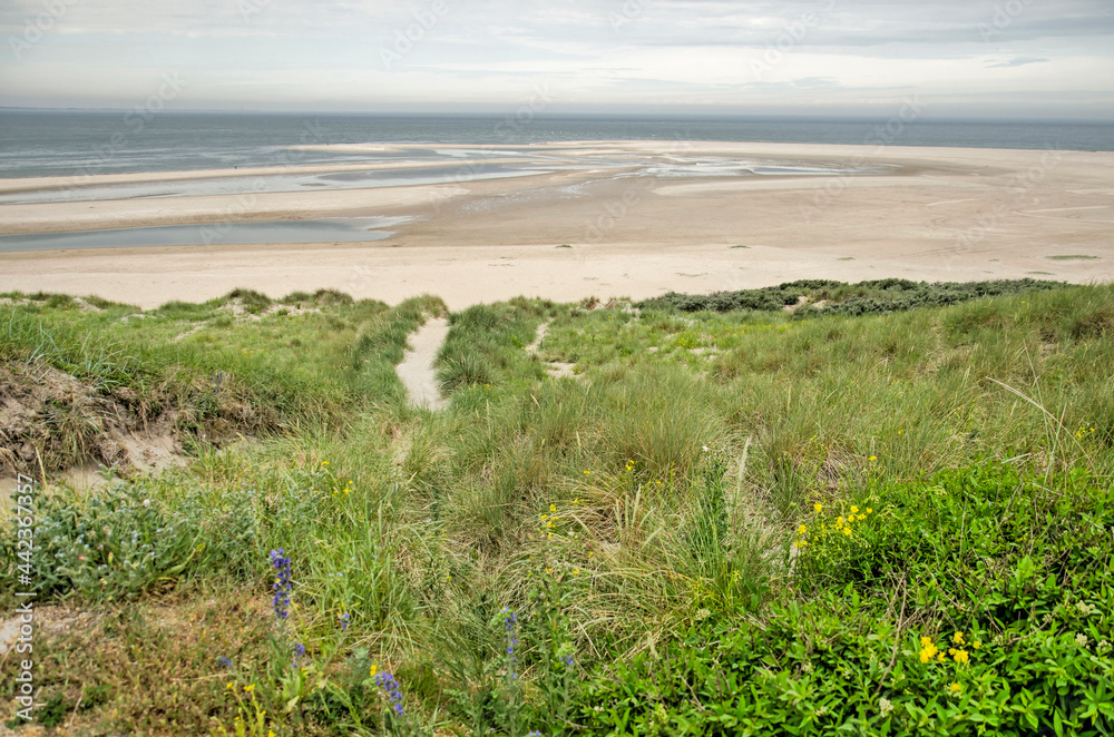 View from a high dune on Maasvlakte industrial area in Rotterdam, The Netherlands across a wide beach and the Northsea beyond