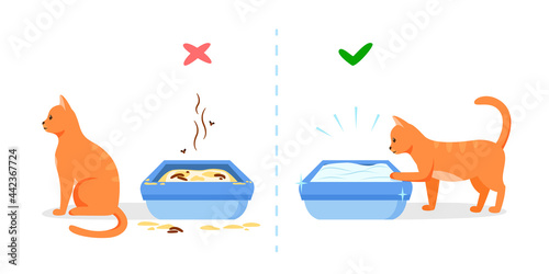 Dirty and clean cat litter box. Wrong and right way to maintain pet toilet. Pet toilet hygiene concept. Vector illustration