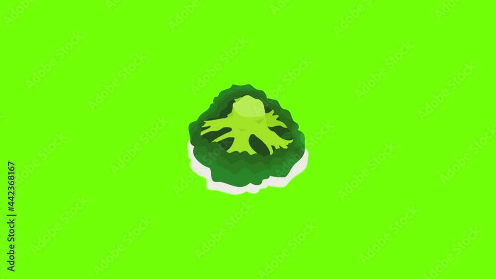Fresh broccoli icon animation Fresh broccoli icon animation