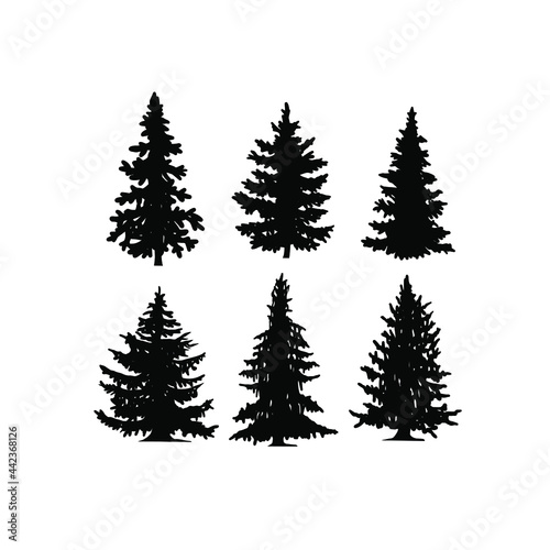 Set of fir shilouettes © DANI