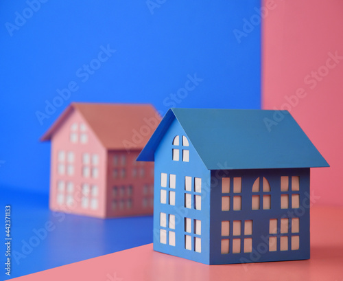 Pink and Blue Gender Houses Separated
