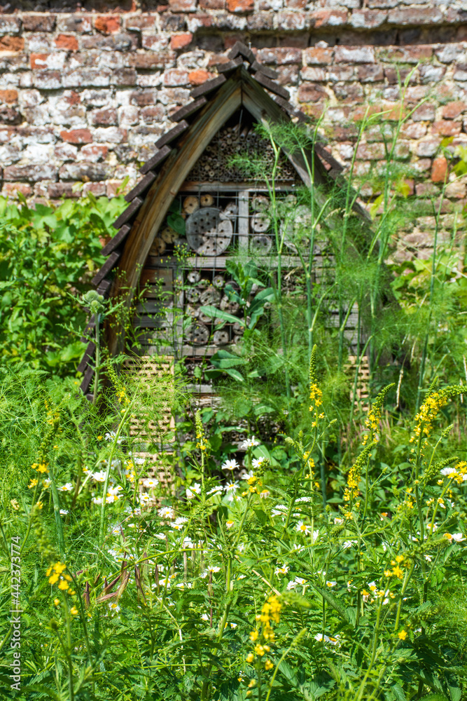 Obraz na plátně insect hotel in flower meadow with an old stone wall in the background