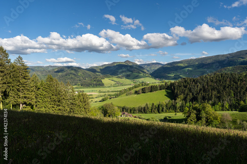 The Hinterwaldkopf one of the most popular mountains of the black forest