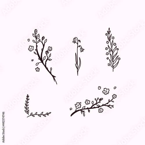 spring blooming flowers and tree floral set illustration decorative vector