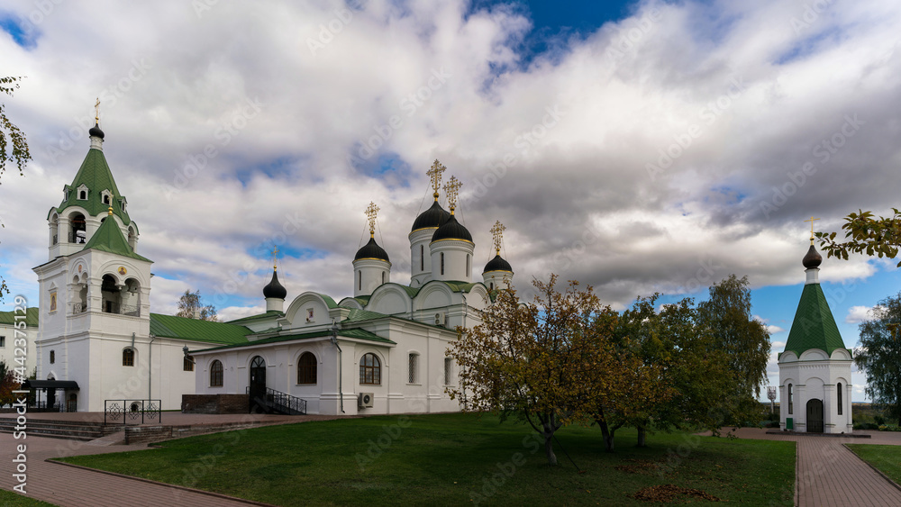 Church architecture of Murom, a city in Russia. 
