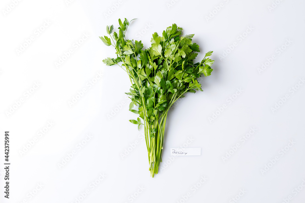 Bunch of flat leaf parsley isolated on white Bunch of flat leaf parsley isolated on white