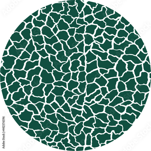 Vector drawing graphic element circle ball green color for decor