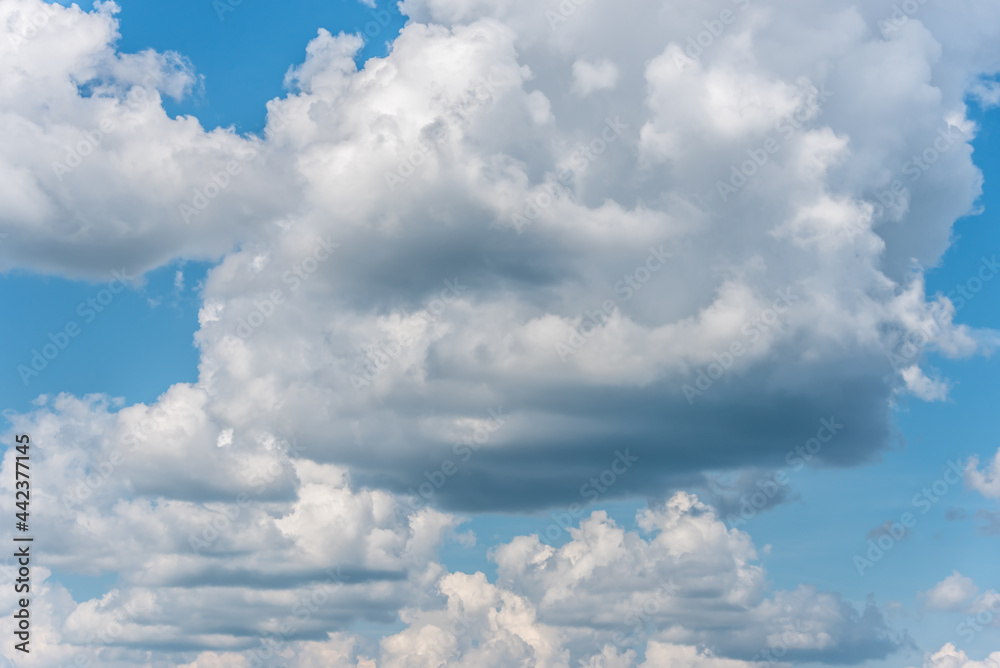 White Clouds in a Blue Sky on a Summer Day White Clouds in a Blue Sky on a Summer Day