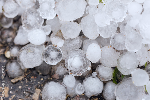 A pile of large hail on the ground photo