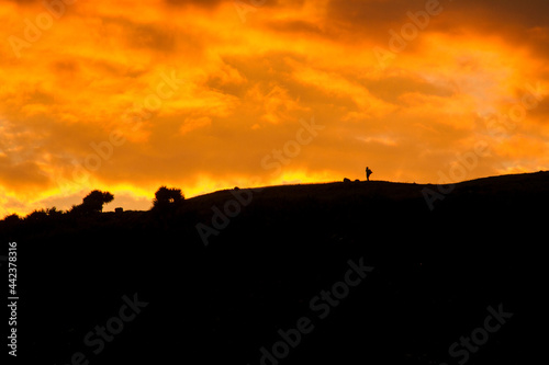 sunset in the mountains