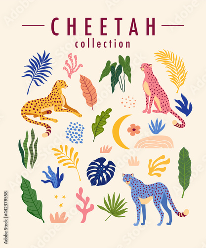 Cheetah trendy design elements collection. Vector illustration of cheetah, tropical leaves, and other elements of nature  in Matisse style
