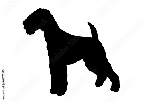 Airedale Terrier dog silhouette  Vector illustration silhouette of a dog on a white background.