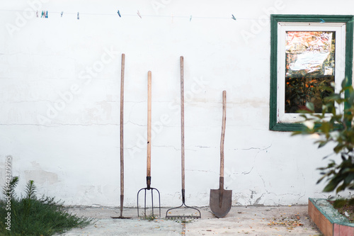 garden tools: shovel, rake, pitchfork. old gardening tools, rake, shovel, pitchfork, hoe on white background