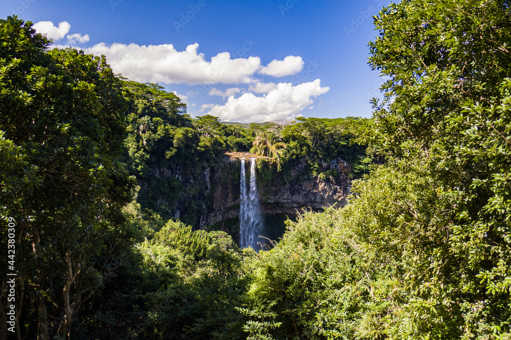Fototapeta premium Chamarel Waterfall in Mauritius Island