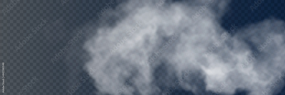 Fototapeta premium Fog or smoke isolated transparent special effect. White vector cloudiness, mist or smog background. Vector illustration