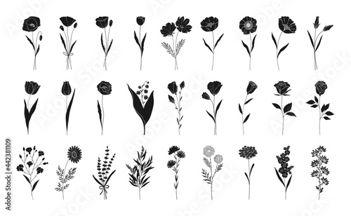 Floral set, hand drawn flowers silhouettes. Poppy, rose, lily of the valley, lavender, chamomile and other botanical elements for design projects. Vector illustration.
