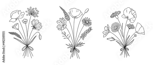Wildflower line art bouquets set. Meadow flowers, herbs, wild plants, botanical hand drawn elements for design projects. Vector illustration.
