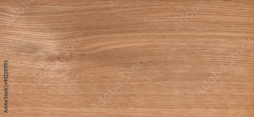 white oak, Brown color wood wall material burr surface texture background Pattern Abstract wooden, top view scene