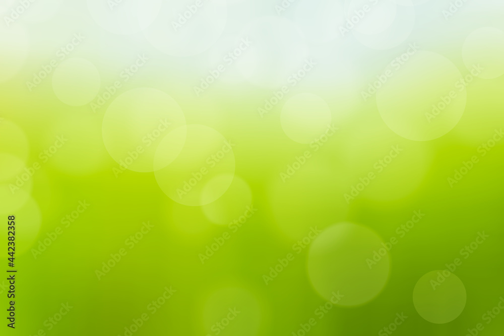 Abstract blurred bokeh background image of light green foliage Abstract blurred bokeh background image of light green foliage