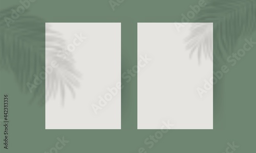 Plant shadow poster mockup. A4 paper vertical blank page leaf overlay effect isolated green background. Vector illustration
