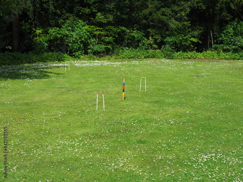 Croquet on the lawn photo