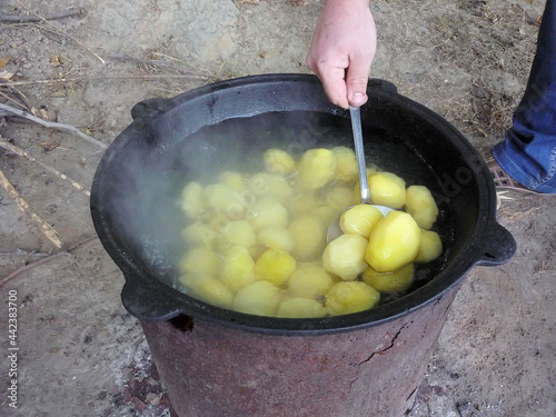 Wallpaper Mural Whole peeled potatoes are cooked in water in a black cauldron on the street, a person's hand stirs the potatoes with a slotted spoon, the cooking process Torontodigital.ca