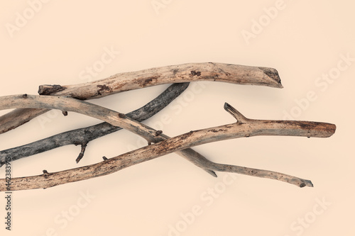 Beautiful dry tree branches on beige background. Flat lay, top view minimalistic natural composition for cosmetic products