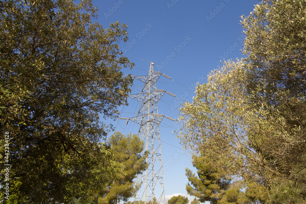 Fototapeta premium Power lines during a beautiful sunset. Electricity transportation on beautiful landscapes of the world.