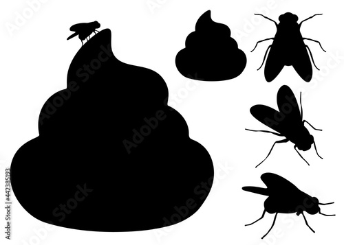 Fly and turd included. Vector image.